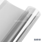 Silver 60