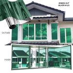 green tinted film