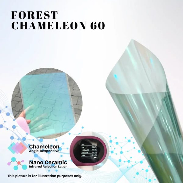 Forest Chameleon 60